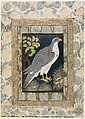 Royal Hunting Falcon (Baz), Atrributed to a follower of the 
